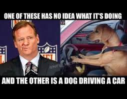 One of these has no idea what it's doing and the other is a dog driving a car - Roger Goddell