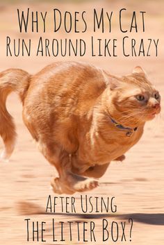 fe8de36571ca67a613c113cd461a7845[1]