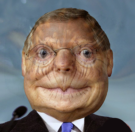 mconnell turtleface