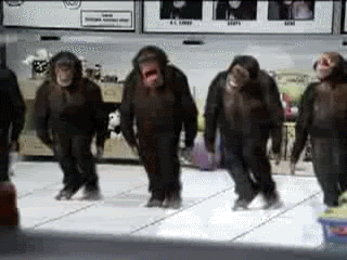 monkeydance-1[1]
