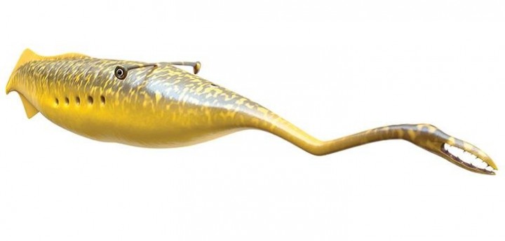 tully-short.jpg__800x600_q85_crop