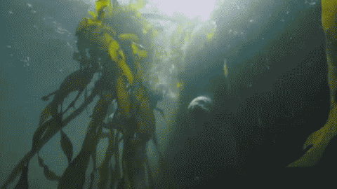 tumblr_inline_nu6cje9A681qbvt58_500