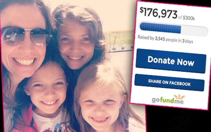 Ingrid-lyne-murder-gofundme-page-pp[1]