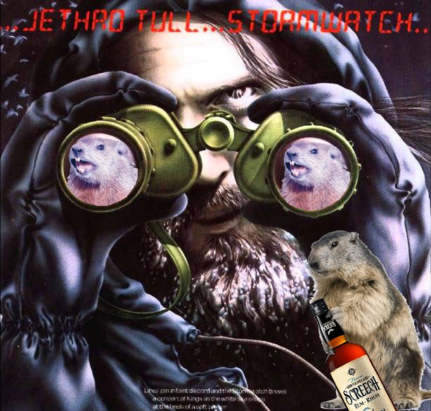Phil_screech crop