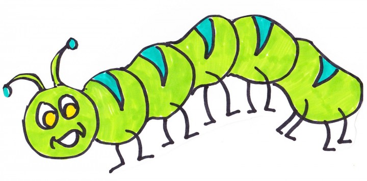 caterpillar