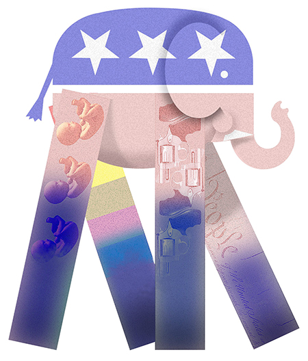 judicial litmus