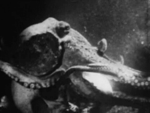 tumblr_m801bjK3ip1rbss28o1_500