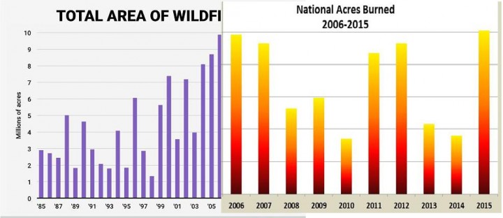 wildfires.png1