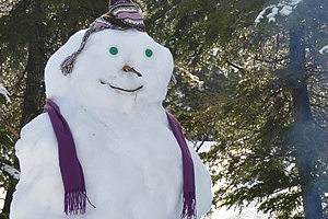 Snowman-Smile