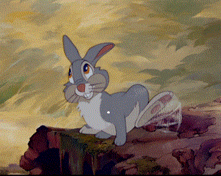 Thumper6