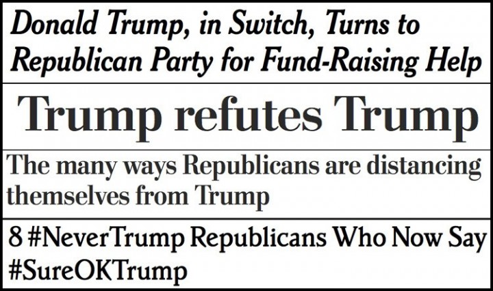TrumpFlip