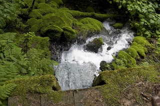 cascade locks spring