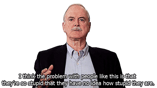 stupid