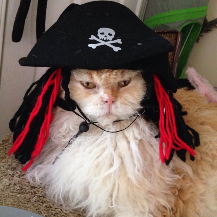 tumblr_nwokaoAgCo1qcxyrro1_1280[1]