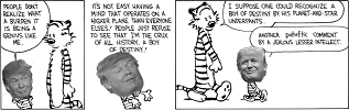 donald hobbes