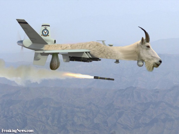 goat drone