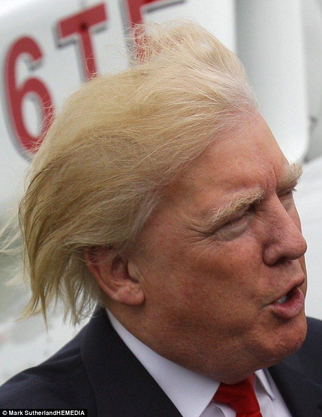 trumphair