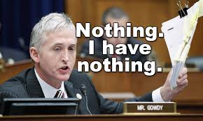 Nothing I have nothing - Trey Gowdy