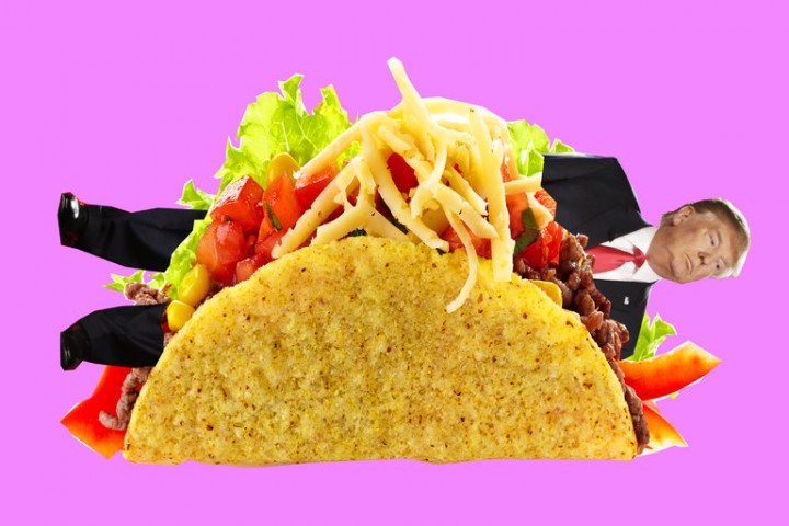 Trump taco