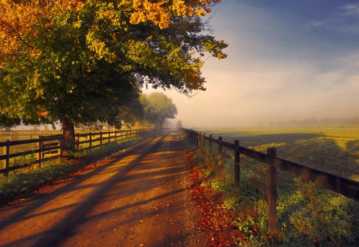 country-dirt-road-wallpaper-4