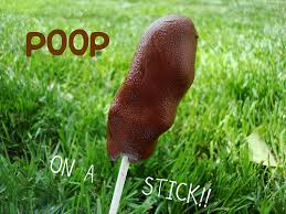 poo on a stick
