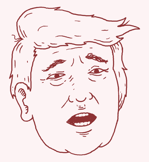 trump-hair[1]