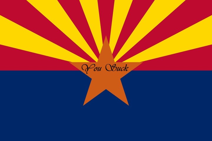 AZyousuckFlag