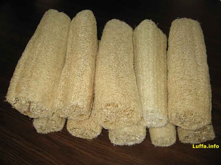 LoofahSections800