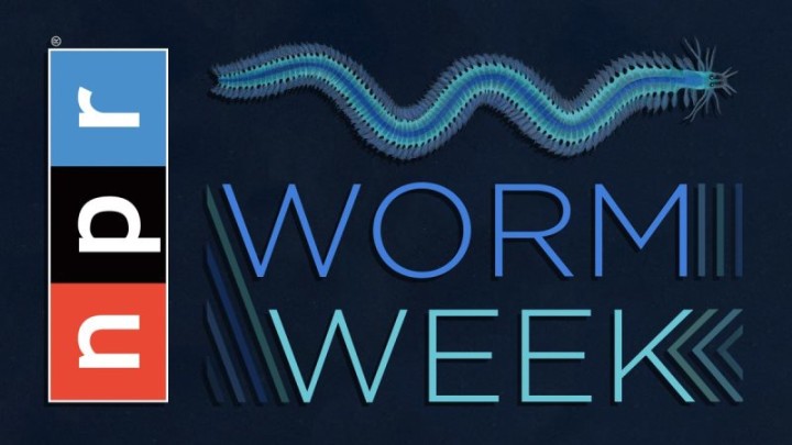NPR Worm Week_sm - Copy