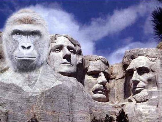 harambe rushmore