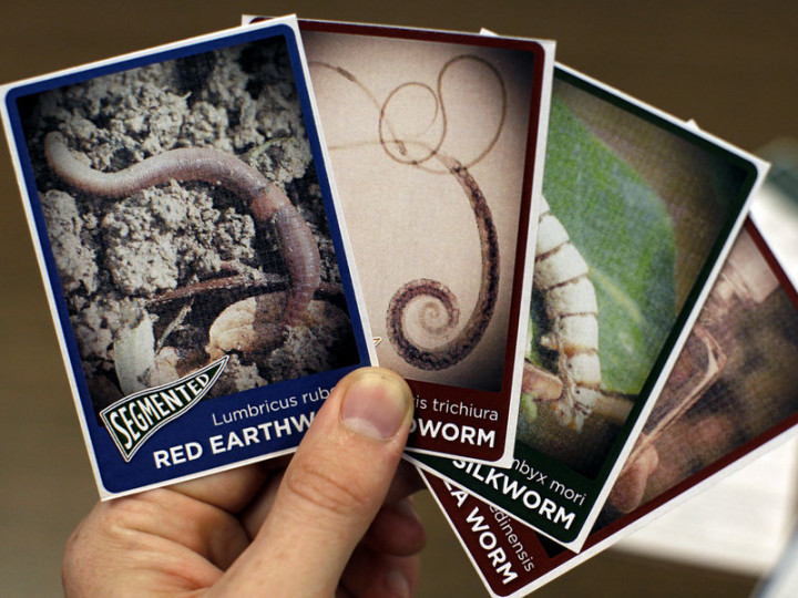 wormspromo-npr