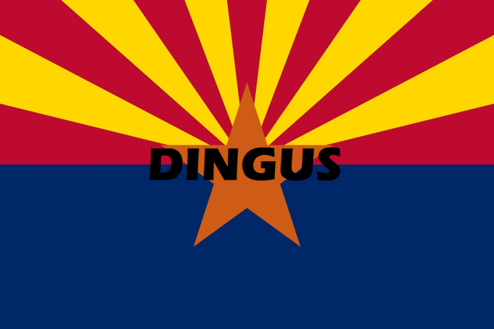 azdingusflag