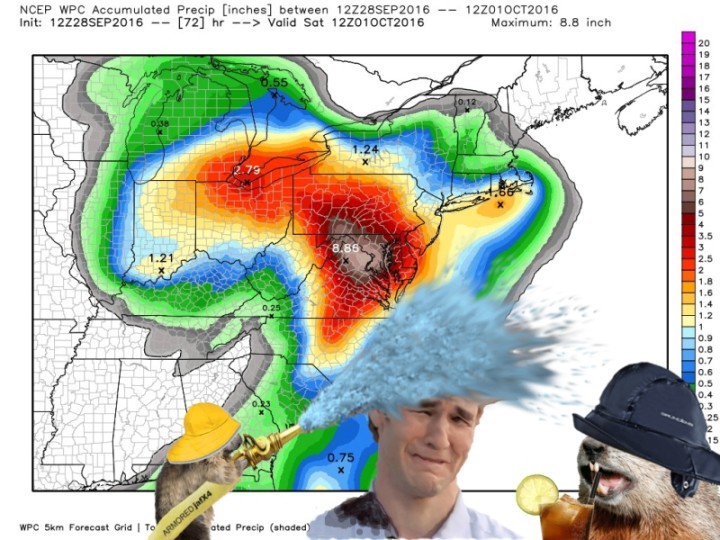 fucking-rainrodent_sm