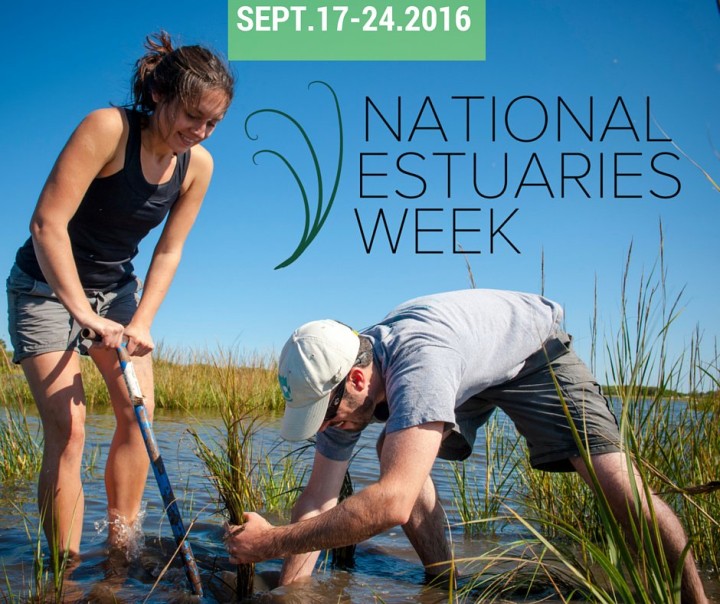 national-estuaries-week-2016