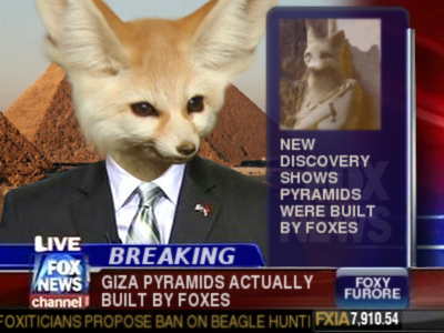 fox news foxes
