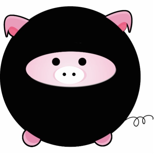 ninja_pig_photo