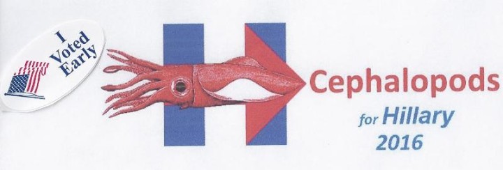 cephaloearly_sm