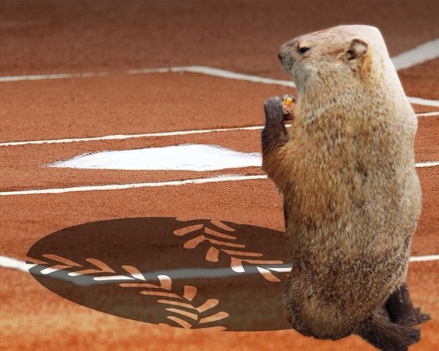 groundhog-baseball-shadow1