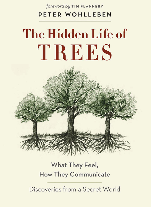 trees