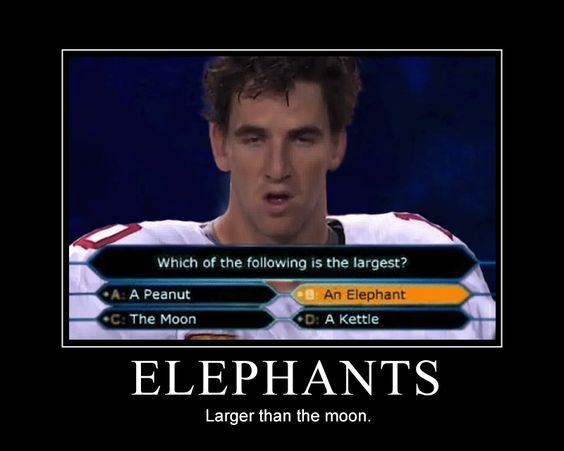 eliphants