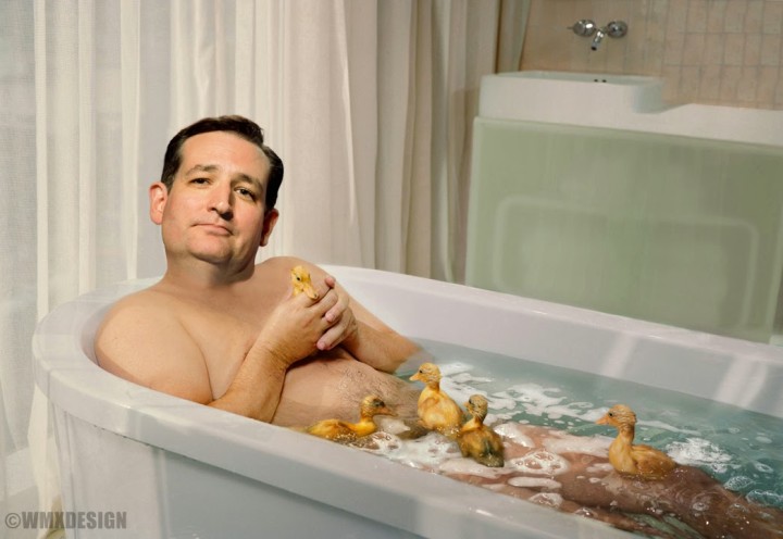 ted_cruz_harmless_ducks