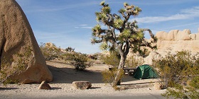 vcw_d_jtree_t6_jumbo-rocks-campground_1280x642