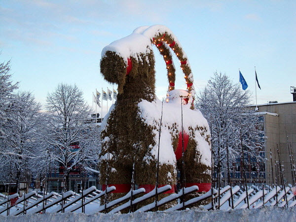 gavle-goat