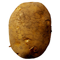 tater