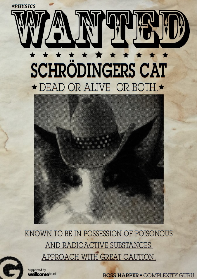 shrodinger-cat1