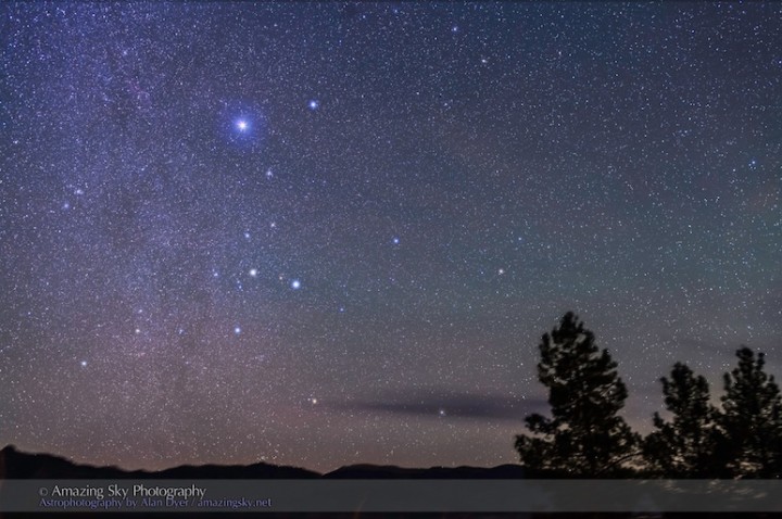 canismajorsmall
