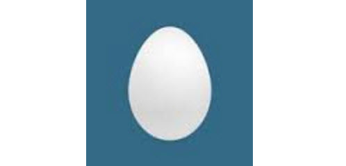 twitter-egg