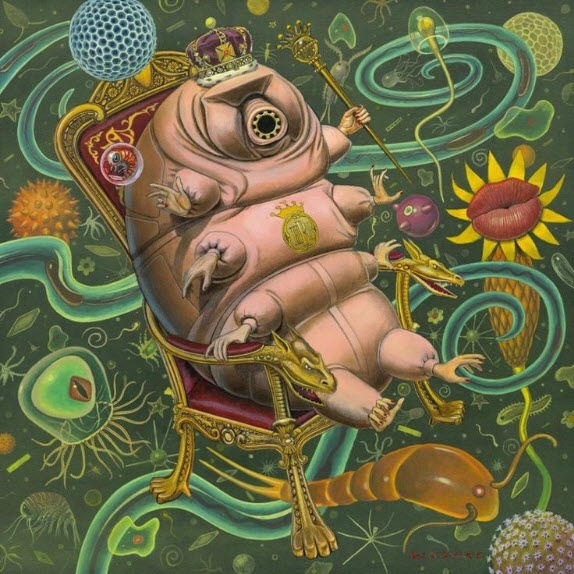 water-bear