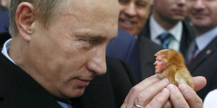 Putin grooms trump