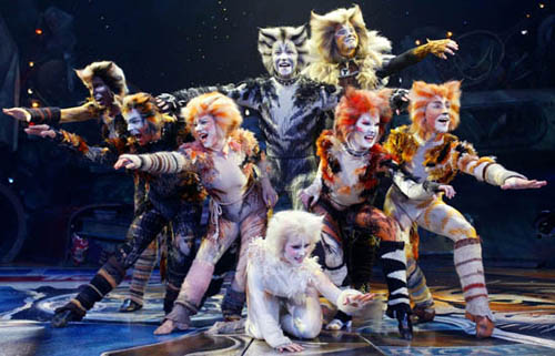 cats